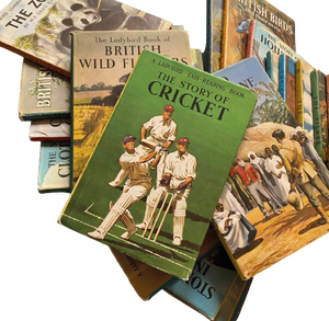 Can You Remember Those Wonderful Ladybird Books?